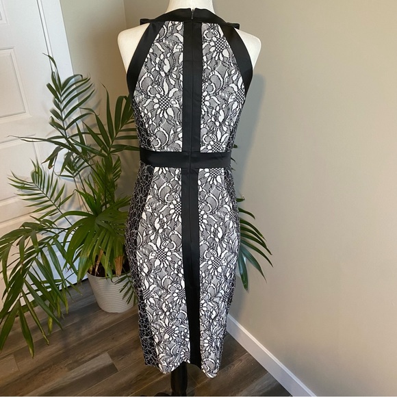 Cache Black and White Lace Round Neck Dress Size 2 - Picture 5 of 10